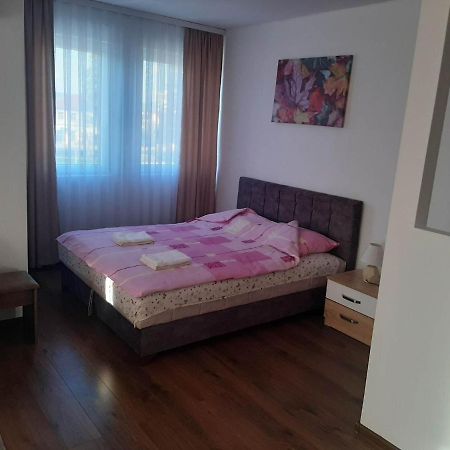 Vila Centar Mb Bed & Breakfast Sjenica Eksteriør bilde