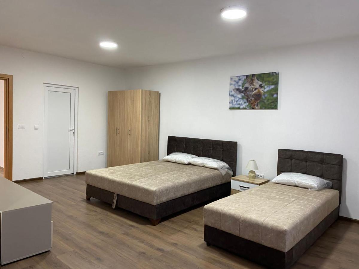 Vila Centar Mb Bed & Breakfast Sjenica Eksteriør bilde