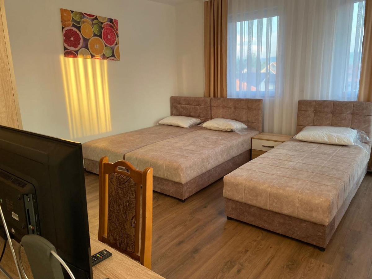 Vila Centar Mb Bed & Breakfast Sjenica Eksteriør bilde