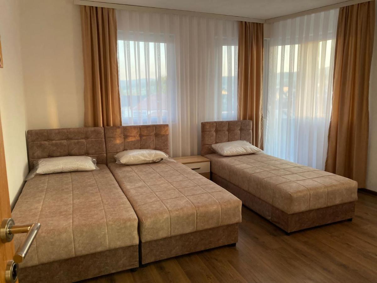 Vila Centar Mb Bed & Breakfast Sjenica Eksteriør bilde