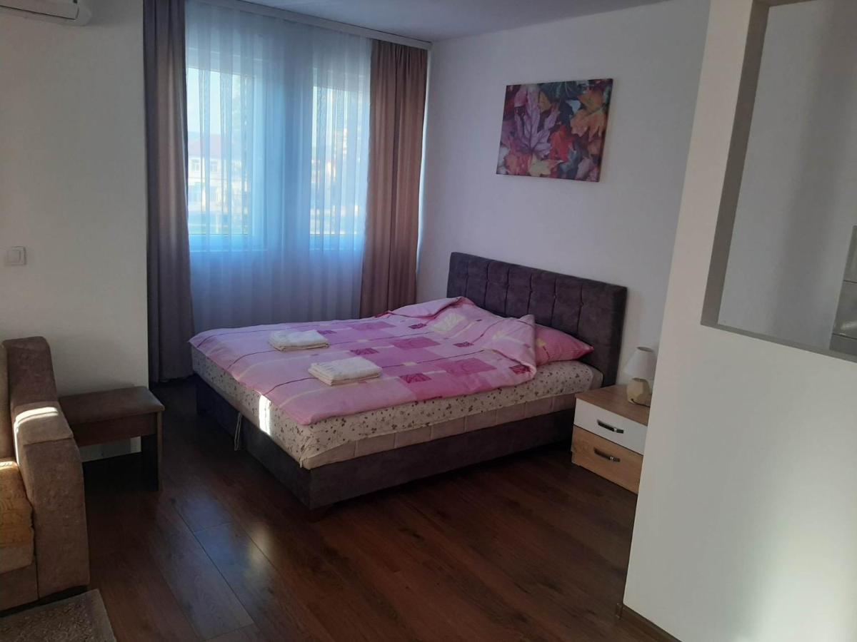 Vila Centar Mb Bed & Breakfast Sjenica Eksteriør bilde