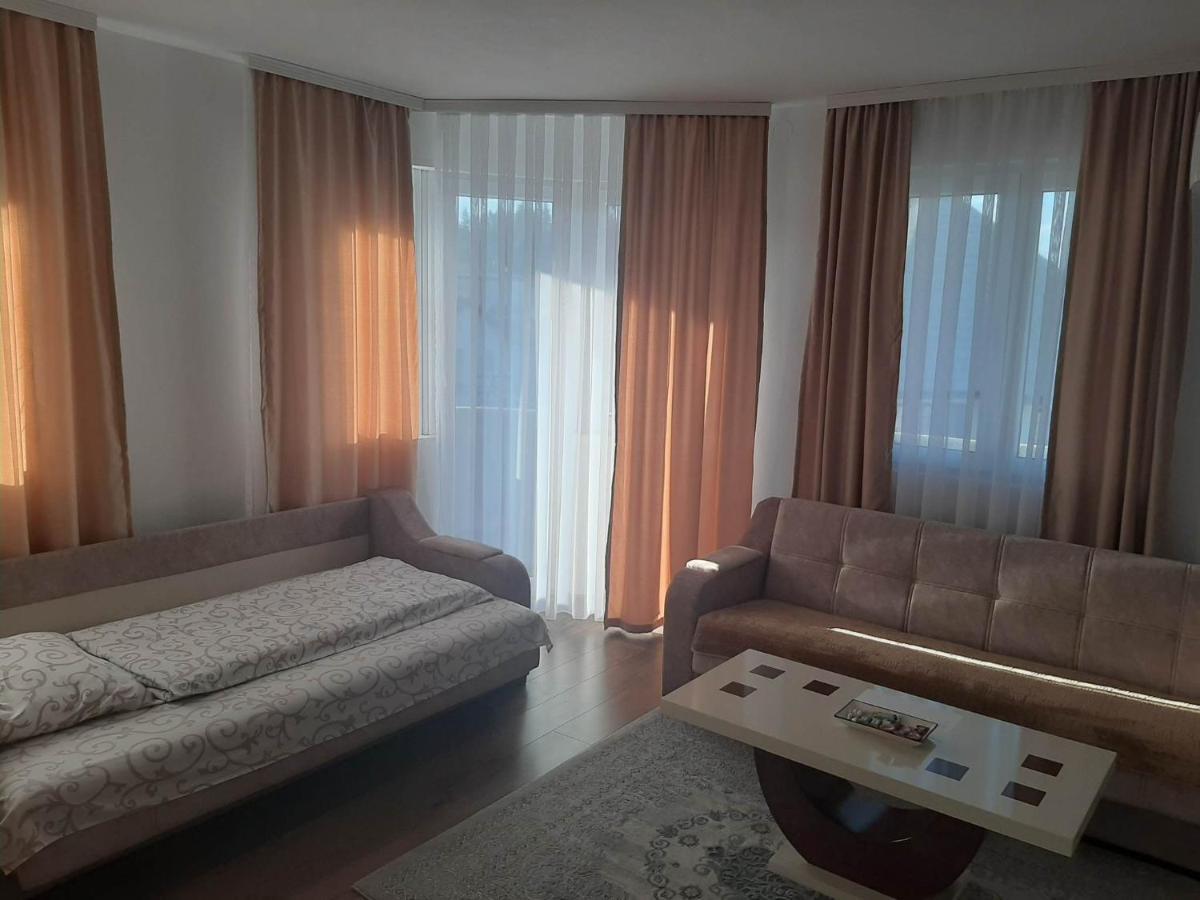 Vila Centar Mb Bed & Breakfast Sjenica Eksteriør bilde
